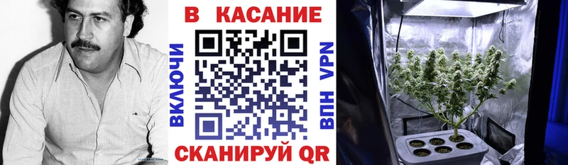 Все наркотики Людиново COCAIN  Амфетамин  ГАШИШ  A-PVP  kraken маркетплейс  Меф  Марихуана 