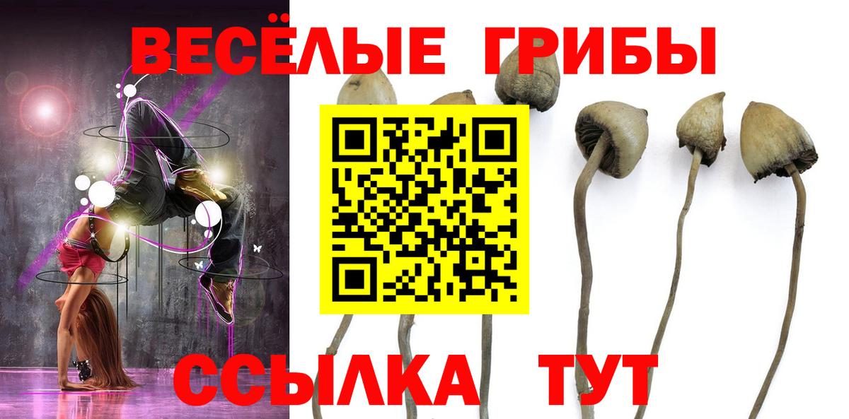 Псилоцибиновые грибы ЛСД Людиново